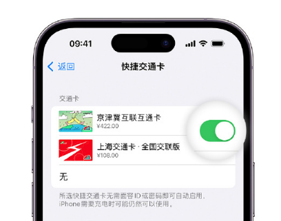 千山apple维修点分享iPhone上更换Apple Pay快捷交通卡手绘卡面 