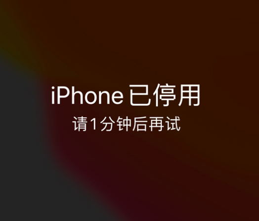 千山苹果手机维修分享:iPhone 显示“不可用”或“已停用”怎么办？还能保留数据吗？ 