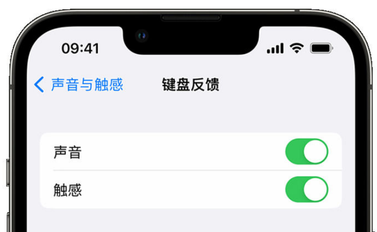 千山苹果手机维修分享iPhone 14触感键盘使用方法 