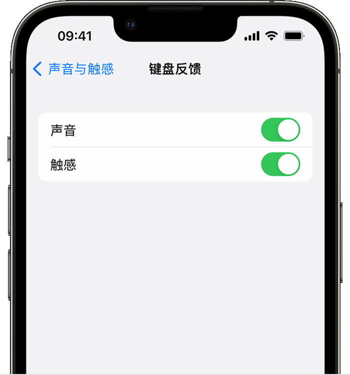 千山苹果14维修店分享如何在 iPhone 14 机型中使用触感键盘 