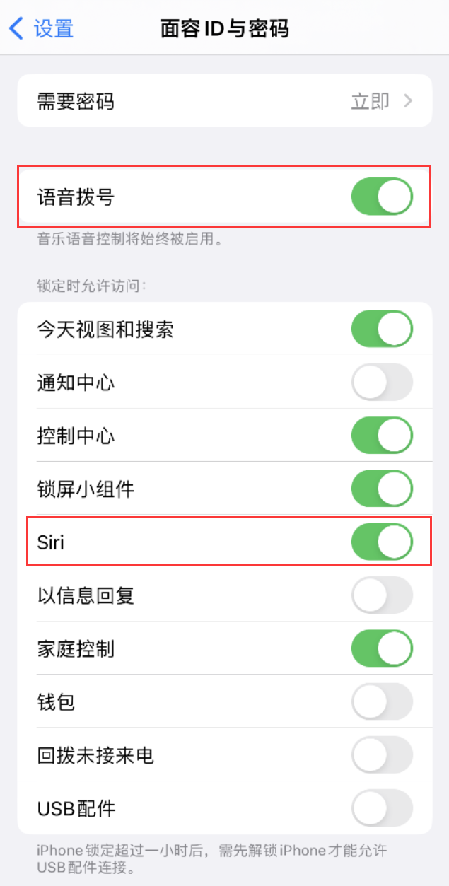 千山苹果维修网点分享不解锁 iPhone 的情况下通过 Siri 拨打电话的方法 