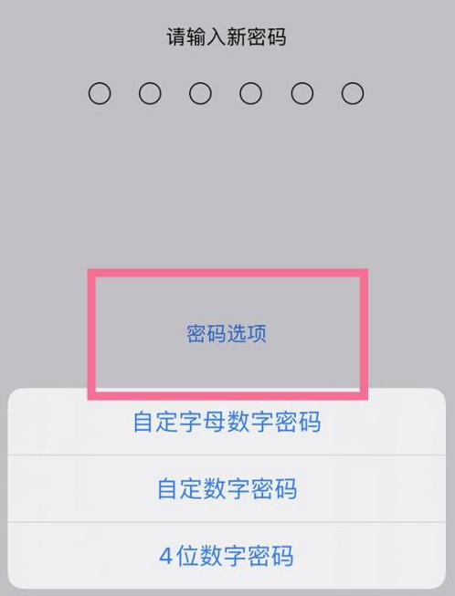 千山苹果14维修分享iPhone 14plus设置密码的方法 