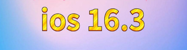 千山苹果服务网点分享苹果iOS16.3升级反馈汇总 