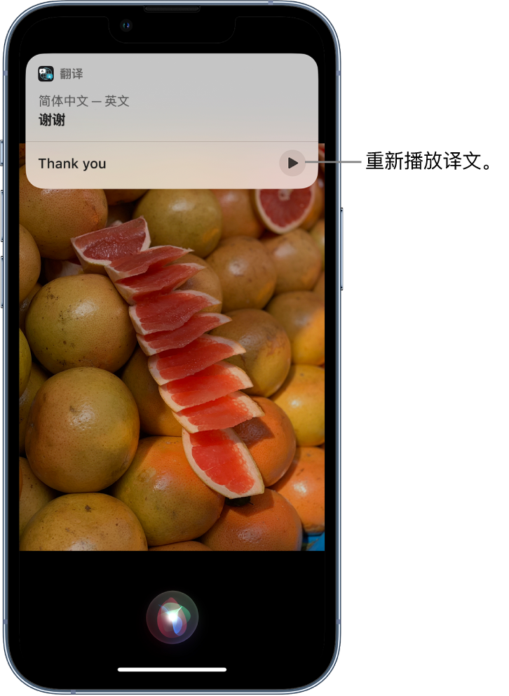 千山苹果14维修分享 iPhone 14 机型中使用 Siri：了解 Siri 能帮你做什么 