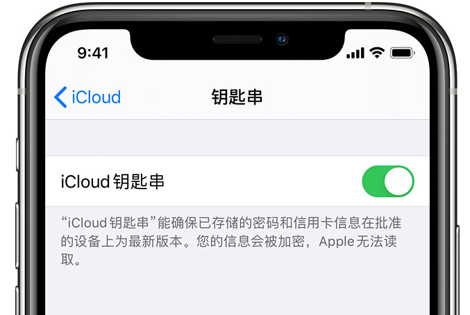 千山苹果手机维修分享在 iPhone 上开启 iCloud 钥匙串之后会储存哪些信息 