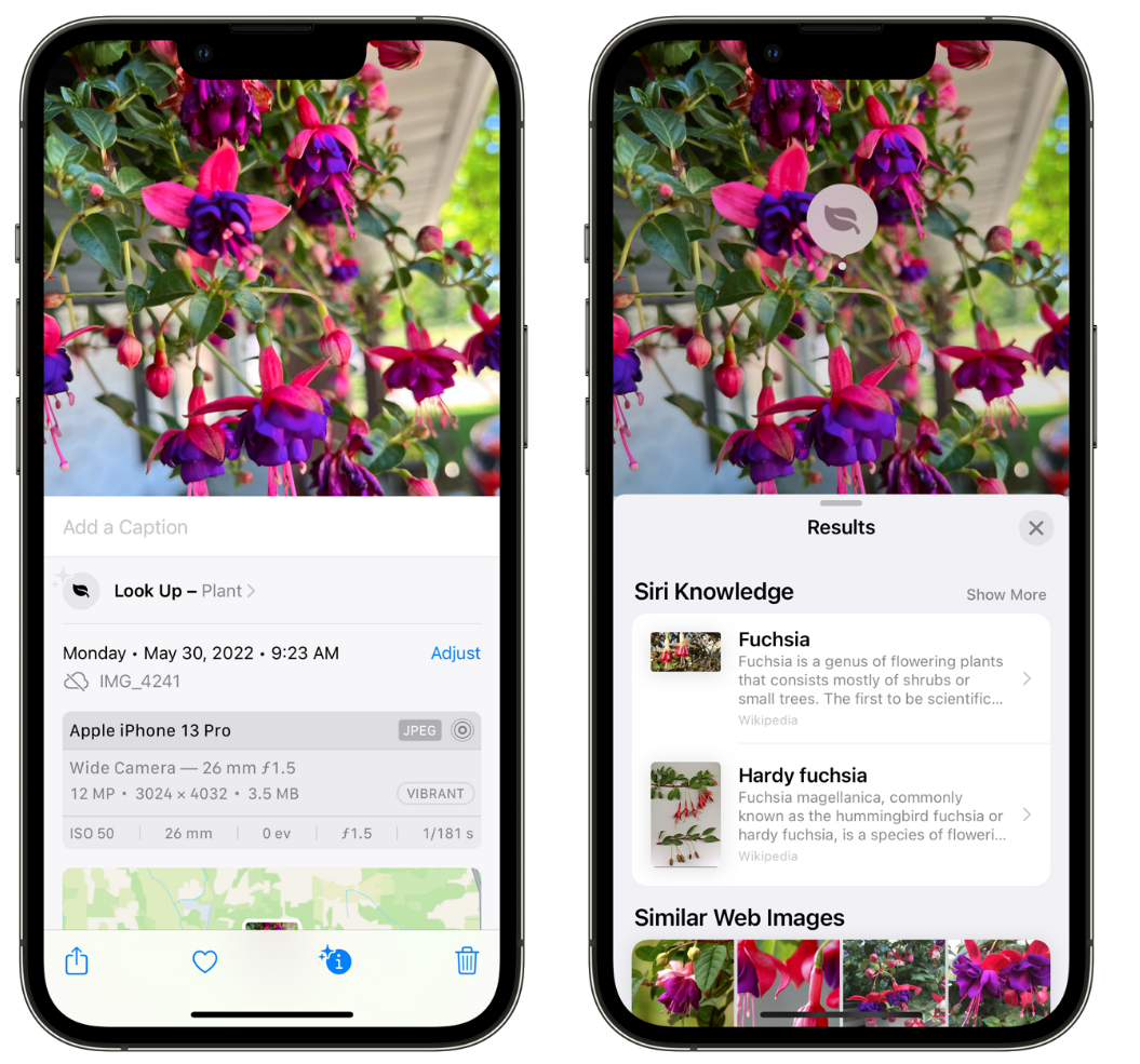 千山苹果手机维修分享小技巧：使用 iPhone 相机识别花卉植物 