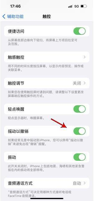 千山苹果手机维修分享iPhone手机如何设置摇一摇删除文字 